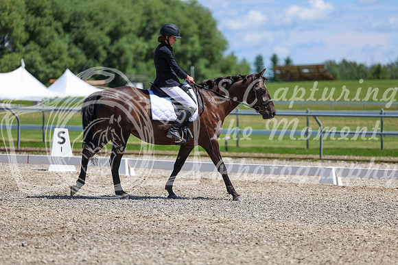 12752 - 2026 Dressage Festival - Sunday July 5th