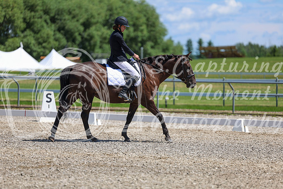12750 - 2026 Dressage Festival - Sunday July 5th