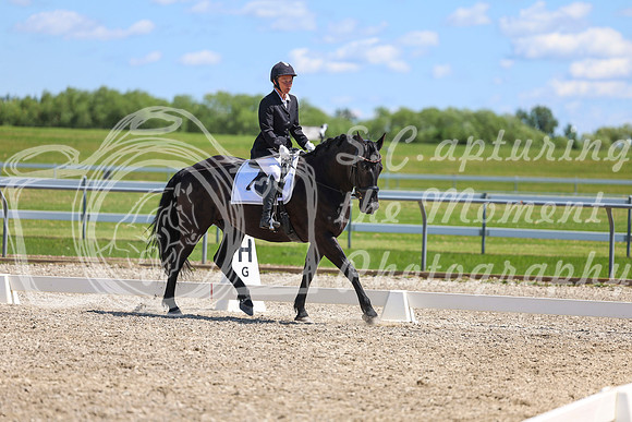 12938 - 2026 Dressage Festival - Sunday July 5th