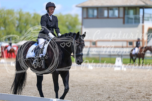 12987 - 2026 Dressage Festival - Sunday July 5th