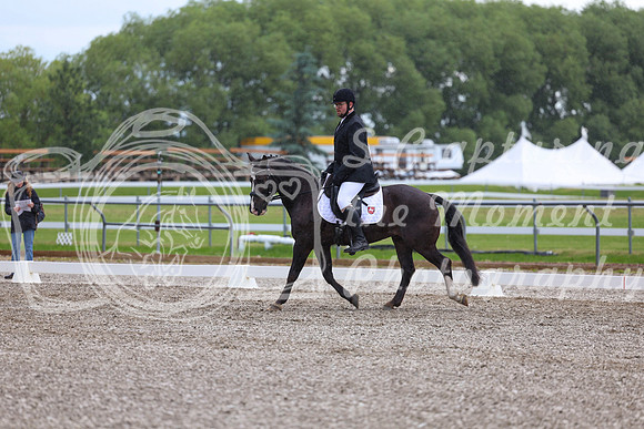 03705 - 2026 Dressage Festival - Sunday July 5th