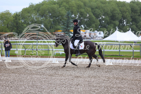03706 - 2026 Dressage Festival - Sunday July 5th
