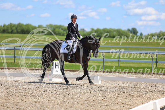12941 - 2026 Dressage Festival - Sunday July 5th