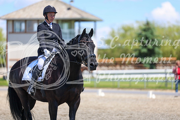 12990 - 2026 Dressage Festival - Sunday July 5th