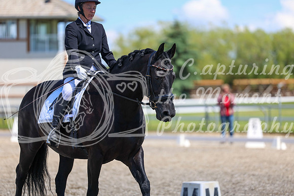 12992 - 2026 Dressage Festival - Sunday July 5th