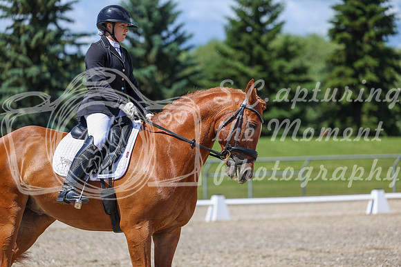13458 - 2026 Dressage Festival - Sunday July 5th