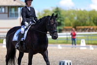 12993 - 2026 Dressage Festival - Sunday July 5th