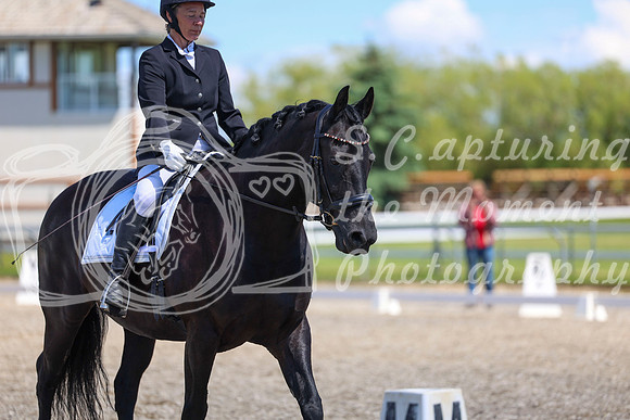 12993 - 2026 Dressage Festival - Sunday July 5th