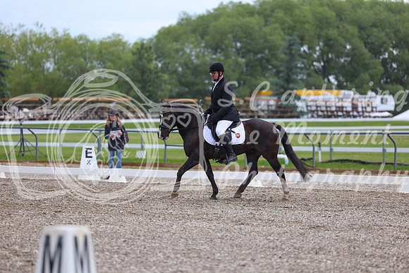 03709 - 2026 Dressage Festival - Sunday July 5th