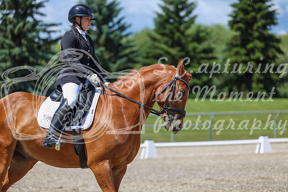 13459 - 2026 Dressage Festival - Sunday July 5th