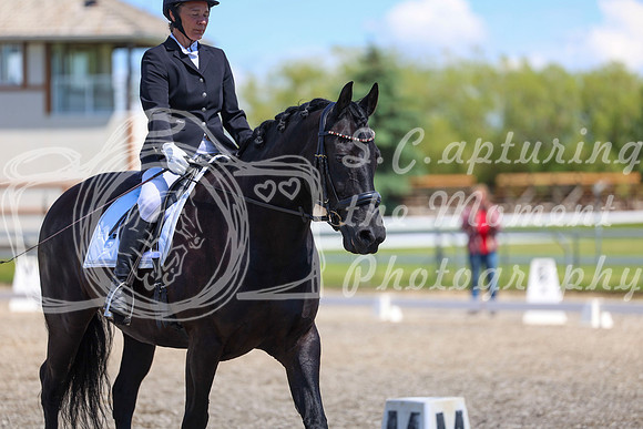12994 - 2026 Dressage Festival - Sunday July 5th