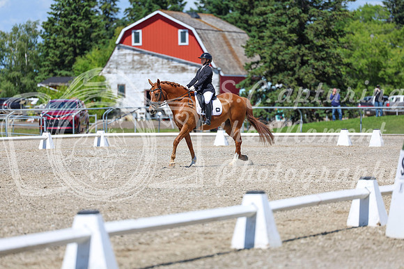 13460 - 2026 Dressage Festival - Sunday July 5th