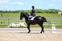 12995 - 2026 Dressage Festival - Sunday July 5th