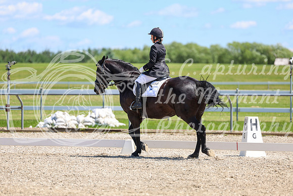 12995 - 2026 Dressage Festival - Sunday July 5th