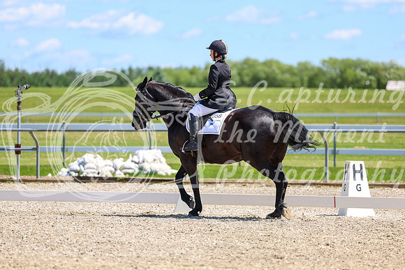 12996 - 2026 Dressage Festival - Sunday July 5th