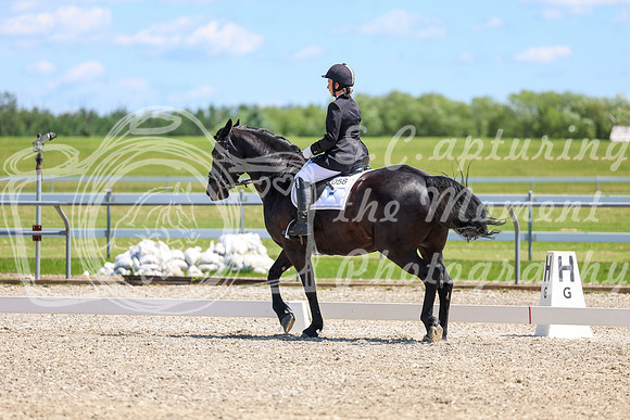 12997 - 2026 Dressage Festival - Sunday July 5th