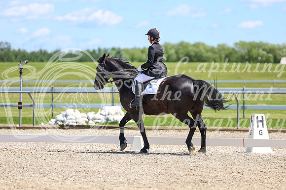 12998 - 2026 Dressage Festival - Sunday July 5th