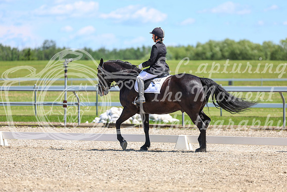 12999 - 2026 Dressage Festival - Sunday July 5th