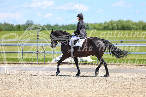 13001 - 2026 Dressage Festival - Sunday July 5th