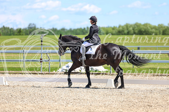 13000 - 2026 Dressage Festival - Sunday July 5th