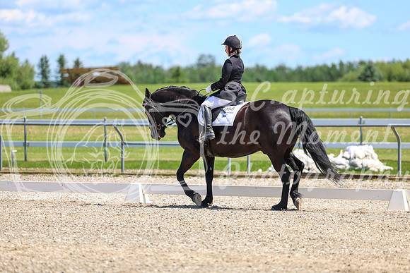 13002 - 2026 Dressage Festival - Sunday July 5th