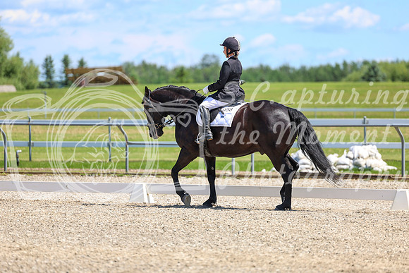13003 - 2026 Dressage Festival - Sunday July 5th