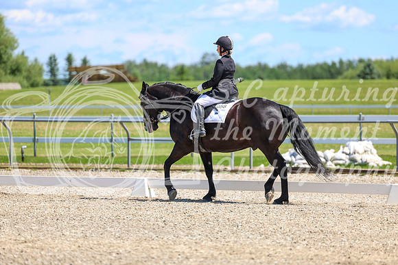 13004 - 2026 Dressage Festival - Sunday July 5th