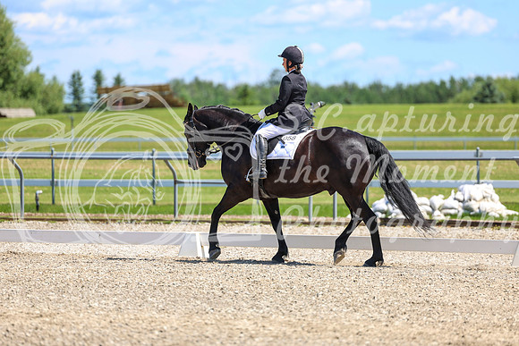 13005 - 2026 Dressage Festival - Sunday July 5th