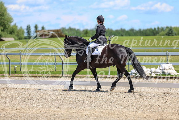 13006 - 2026 Dressage Festival - Sunday July 5th