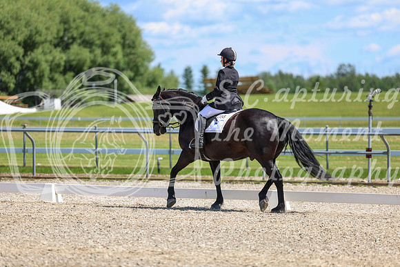 13007 - 2026 Dressage Festival - Sunday July 5th