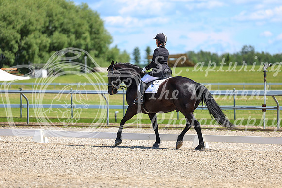 13008 - 2026 Dressage Festival - Sunday July 5th