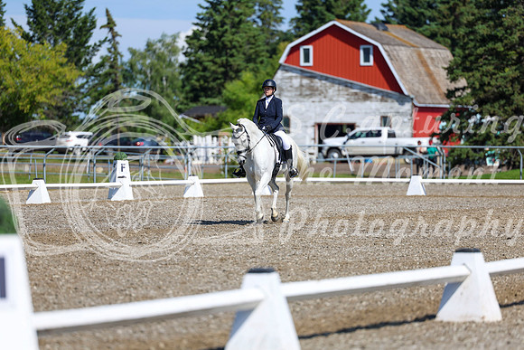 07294 - 2026 Dressage Festival - Sunday July 5th