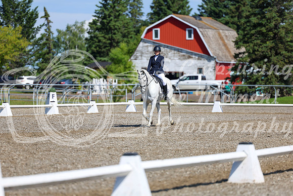 07293 - 2026 Dressage Festival - Sunday July 5th