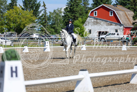 07298 - 2026 Dressage Festival - Sunday July 5th