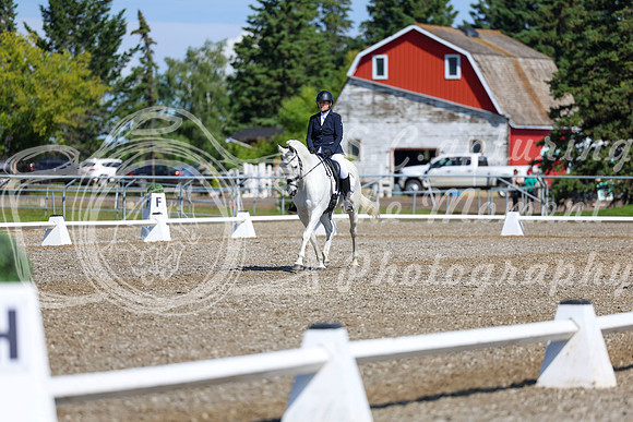 07297 - 2026 Dressage Festival - Sunday July 5th