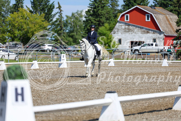 07299 - 2026 Dressage Festival - Sunday July 5th
