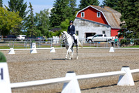 07296 - 2026 Dressage Festival - Sunday July 5th