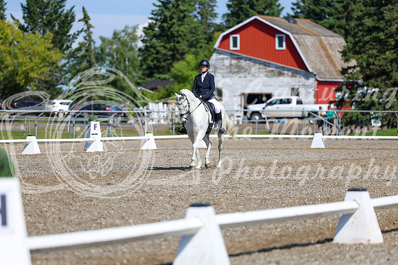 07295 - 2026 Dressage Festival - Sunday July 5th