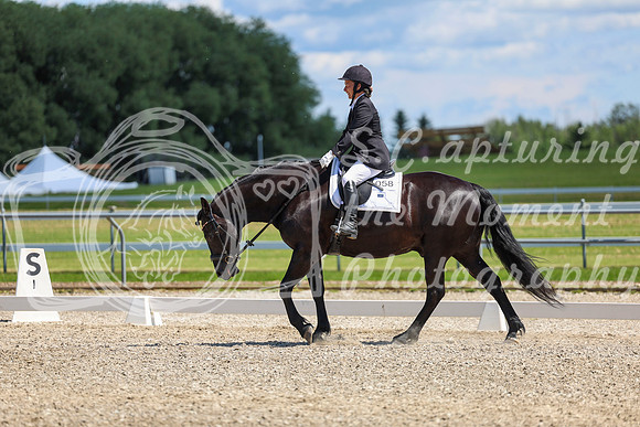 13203 - 2026 Dressage Festival - Sunday July 5th