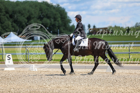 13204 - 2026 Dressage Festival - Sunday July 5th