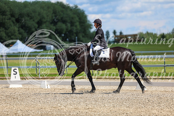 13206 - 2026 Dressage Festival - Sunday July 5th