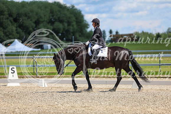 13205 - 2026 Dressage Festival - Sunday July 5th