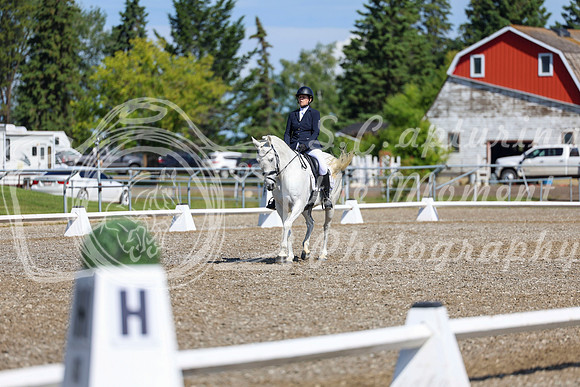 07301 - 2026 Dressage Festival - Sunday July 5th