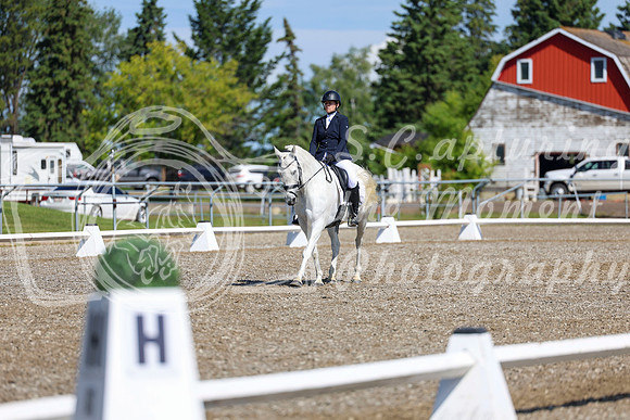 07303 - 2026 Dressage Festival - Sunday July 5th