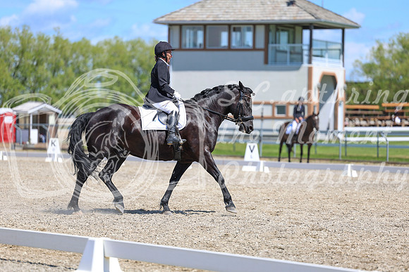 13216 - 2026 Dressage Festival - Sunday July 5th