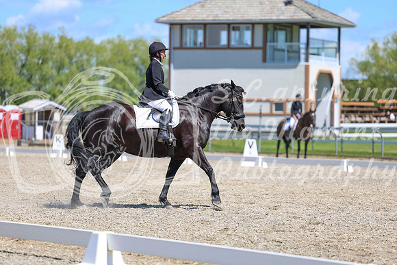 13215 - 2026 Dressage Festival - Sunday July 5th