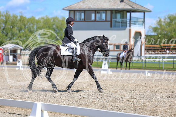 13217 - 2026 Dressage Festival - Sunday July 5th
