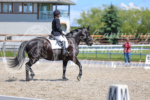 13219 - 2026 Dressage Festival - Sunday July 5th