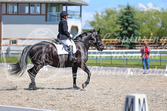 13218 - 2026 Dressage Festival - Sunday July 5th