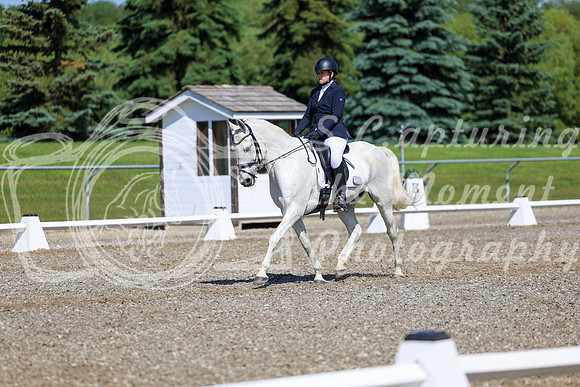 07313 - 2026 Dressage Festival - Sunday July 5th